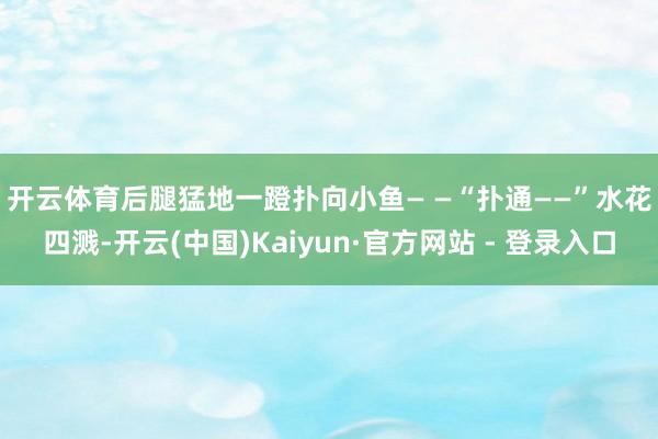 开云体育后腿猛地一蹬扑向小鱼— —　　“扑通——”水花四溅-开云(中国)Kaiyun·官方网站 - 登录入口