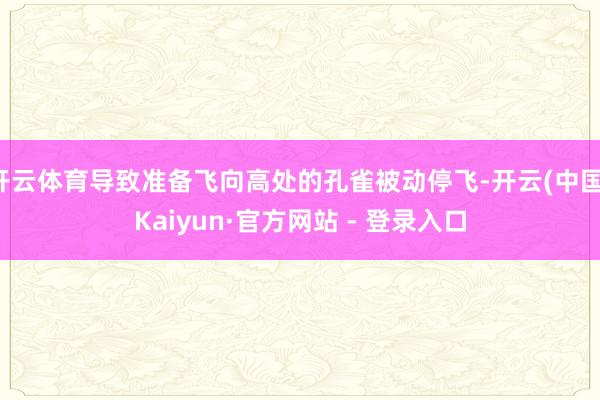 开云体育导致准备飞向高处的孔雀被动停飞-开云(中国)Kaiyun·官方网站 - 登录入口