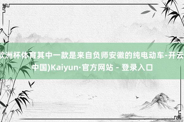 欧洲杯体育其中一款是来自负师安徽的纯电动车-开云(中国)Kaiyun·官方网站 - 登录入口