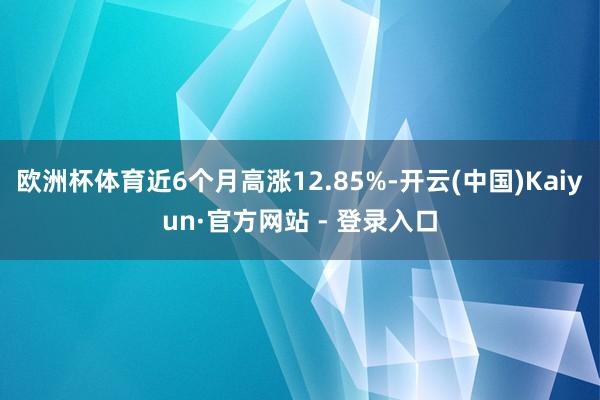 欧洲杯体育近6个月高涨12.85%-开云(中国)Kaiyun·官方网站 - 登录入口