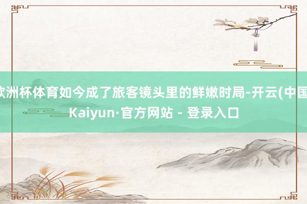 欧洲杯体育如今成了旅客镜头里的鲜嫩时局-开云(中国)Kaiyun·官方网站 - 登录入口