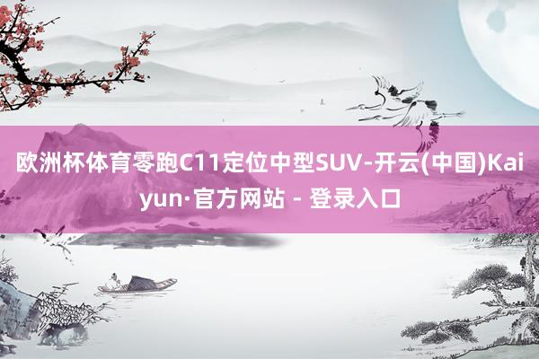 欧洲杯体育零跑C11定位中型SUV-开云(中国)Kaiyun·官方网站 - 登录入口