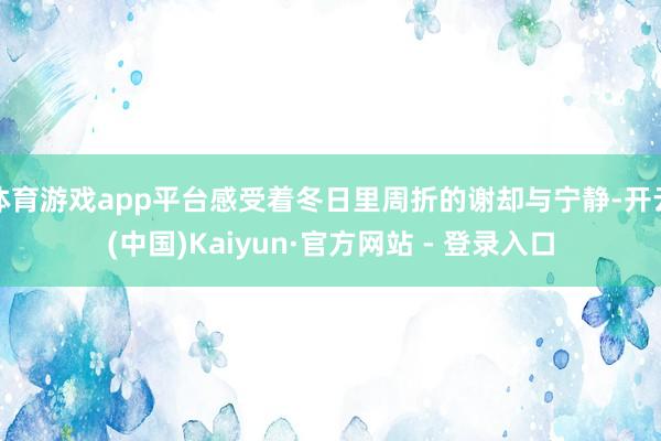 体育游戏app平台感受着冬日里周折的谢却与宁静-开云(中国)Kaiyun·官方网站 - 登录入口