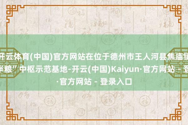 开云体育(中国)官方网站在位于德州市王人河县焦庙镇的“吨半粮”中枢示范基地-开云(中国)Kaiyun·官方网站 - 登录入口