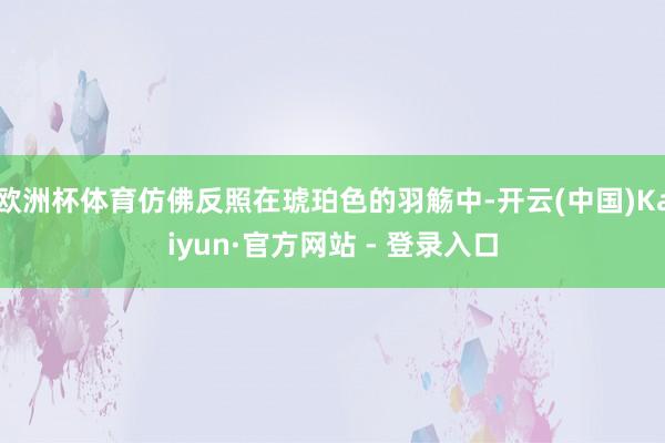 欧洲杯体育仿佛反照在琥珀色的羽觞中-开云(中国)Kaiyun·官方网站 - 登录入口
