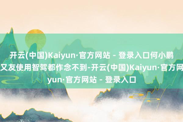 开云(中国)Kaiyun·官方网站 - 登录入口何小鹏连劝服我方一又友使用智驾都作念不到-开云(中国)Kaiyun·官方网站 - 登录入口