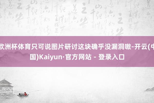 欧洲杯体育只可说图片研讨这块确乎没漏洞嗷-开云(中国)Kaiyun·官方网站 - 登录入口