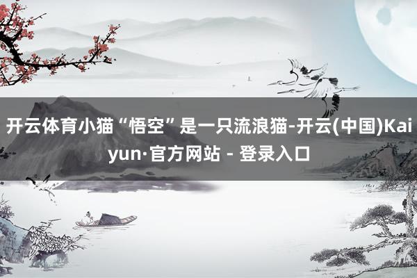 开云体育小猫“悟空”是一只流浪猫-开云(中国)Kaiyun·官方网站 - 登录入口