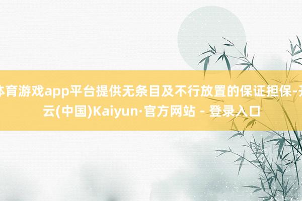 体育游戏app平台提供无条目及不行放置的保证担保-开云(中国)Kaiyun·官方网站 - 登录入口