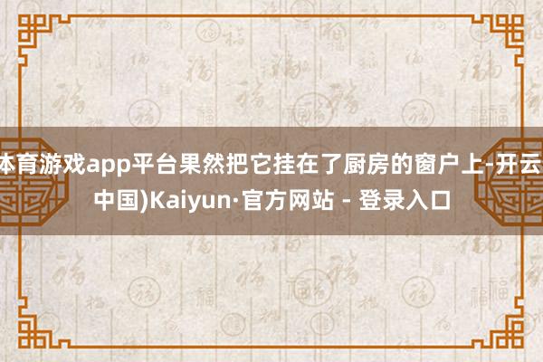 体育游戏app平台果然把它挂在了厨房的窗户上-开云(中国)Kaiyun·官方网站 - 登录入口