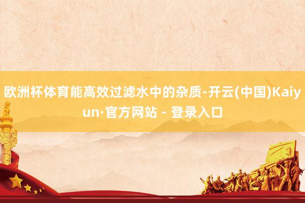 欧洲杯体育能高效过滤水中的杂质-开云(中国)Kaiyun·官方网站 - 登录入口